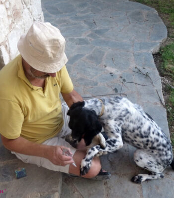 Ascension-LichtEnergie-Arbeit-Hund-mit-der-Flamme-