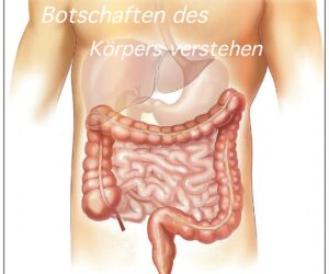 ASCension-Botschaften des Körpers verstehen