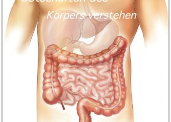 ASCension-Botschaften des Körpers verstehen