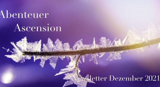 Ascension - Newsletter - Dez. 2021 -eiskristalle-3139044 Kopie