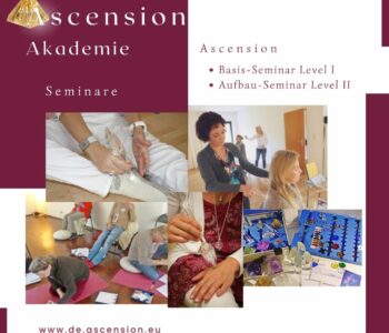 Ascension - Akademie - Seminare