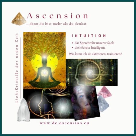 Ascension Intuition