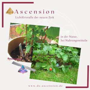 Ascension-LichtKristalle-Natu-lebensmittel-3