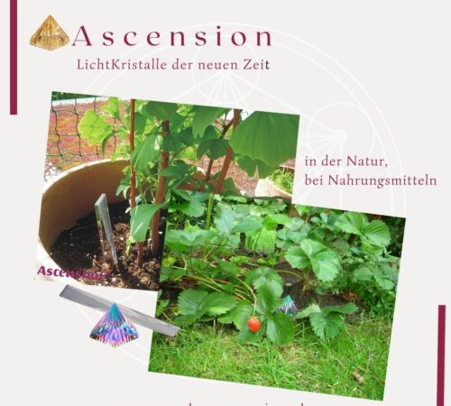 Ascension-LichtKristalle-Natu-lebensmittel-3