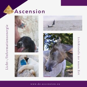 Ascension - LichtKristalle - Tiere-2