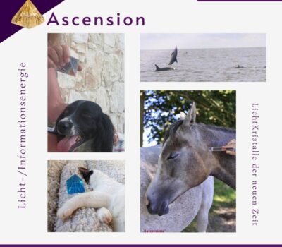 Ascension - LichtKristalle - Tiere-2