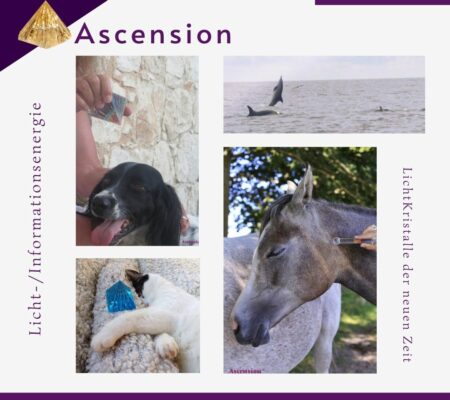 Ascension - LichtKristalle - Tiere-2