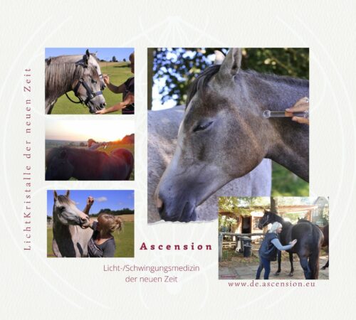 Ascension-LichtKristalle- Tiere