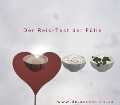 Der Reis-Fülle-test