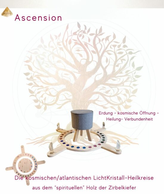 Asension-LichtKristall-Heilkreise-Zirbelkiefer