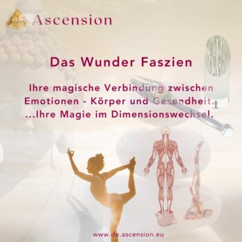 Ascension - Das Wunder Faszien