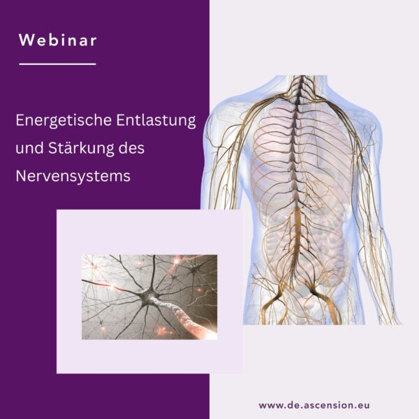 Energetische Entlastung und Stärkung des Nervensystems