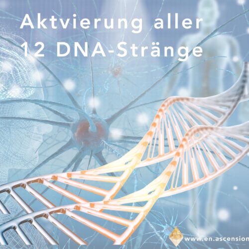 Der Mensch, seine 12-DNA-Stränge, eine wandelnde kosmische Bibliothek