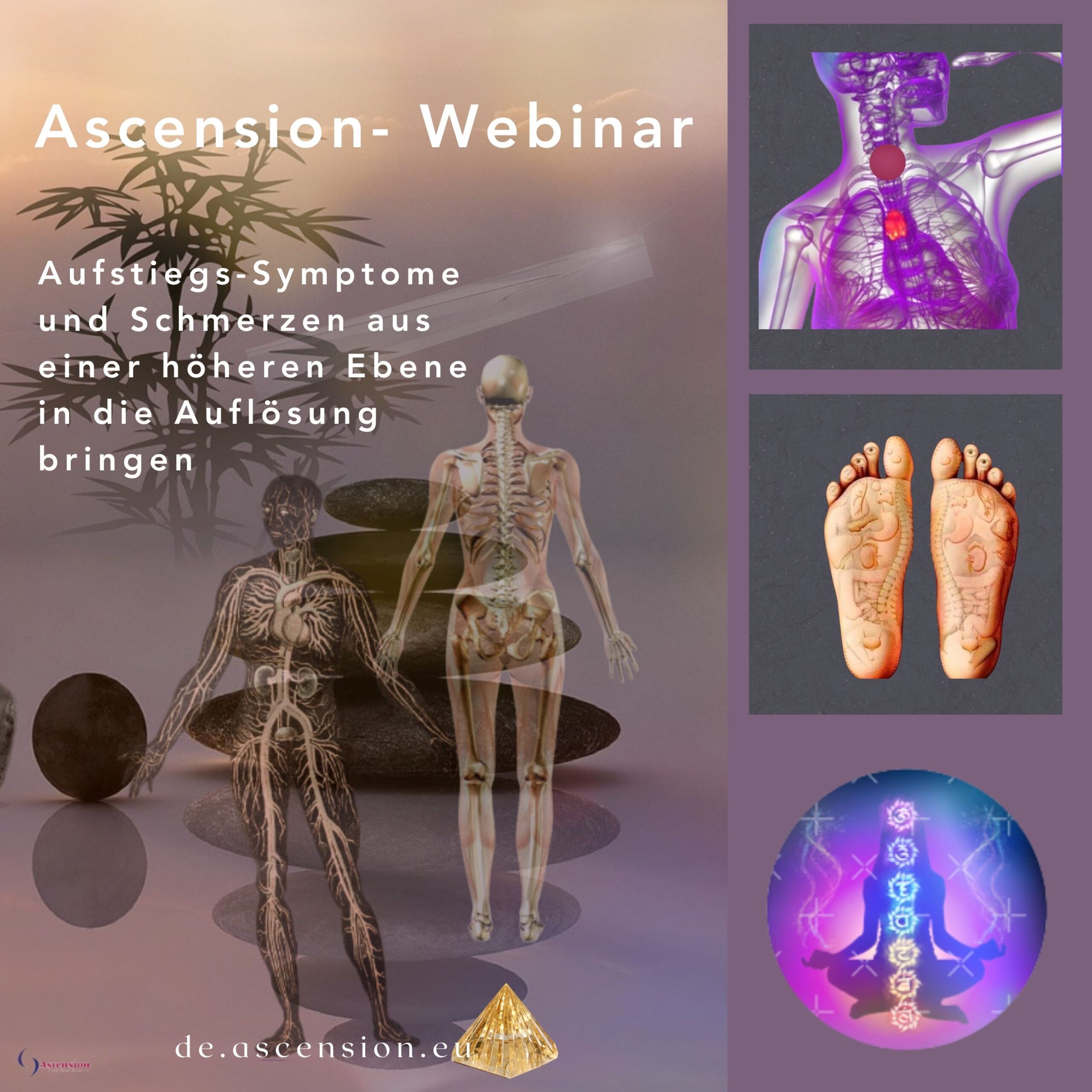 Ascension Aufstiegssymptome und Schmerzen
