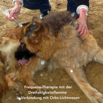 Ascension-Frequenztherapie-Dreifaltigkeitsflamme und Orbs